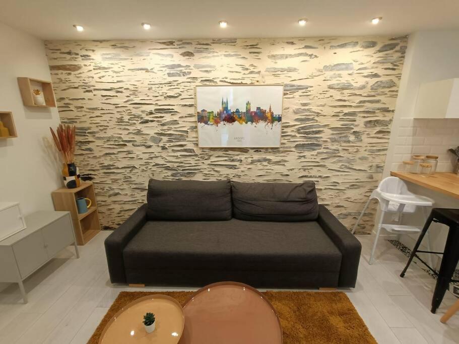 Douceurs Angevine Apartment Angers Ngoại thất bức ảnh